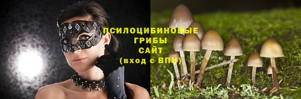 стафф Гусев