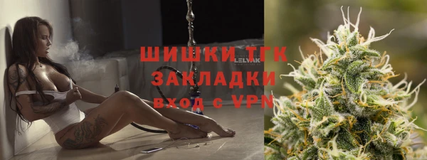 стафф Гусев