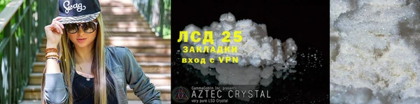 стафф Гусев