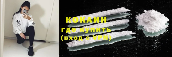 стафф Гусев