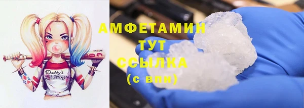 стафф Гусев