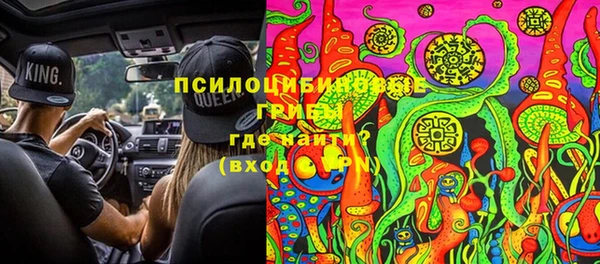 стафф Гусев